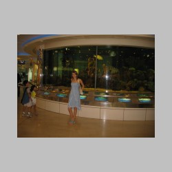 w drodze na zakupy.html